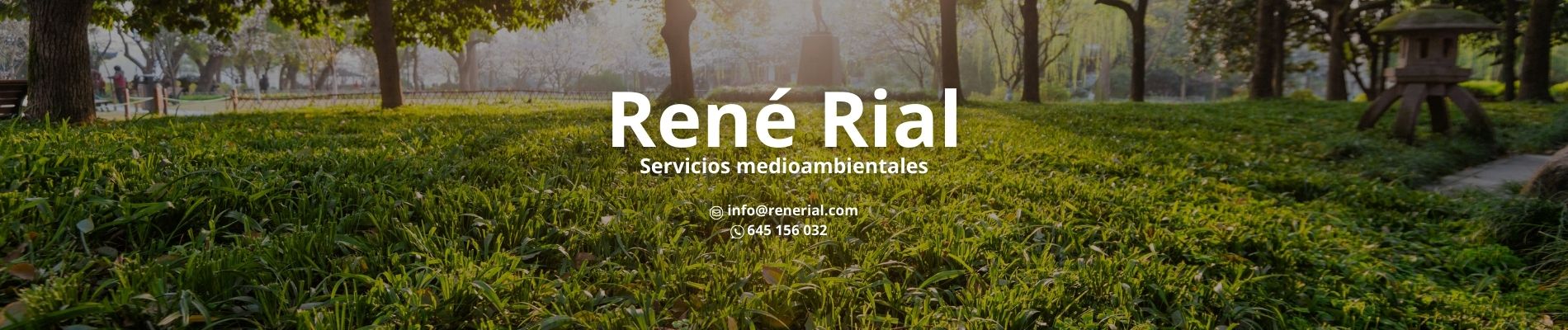 Banner de Renerial